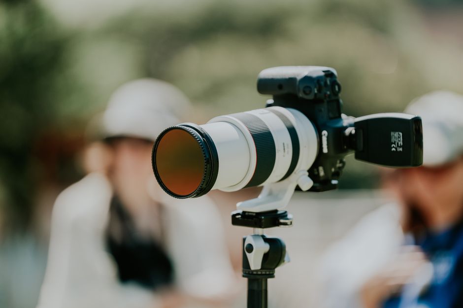 A Beginner's Guide to Choosing Your First Wildlife Lens