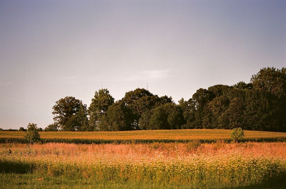 Chasing the Golden Hour: A Photographer's Guide to Dawn and Dusk