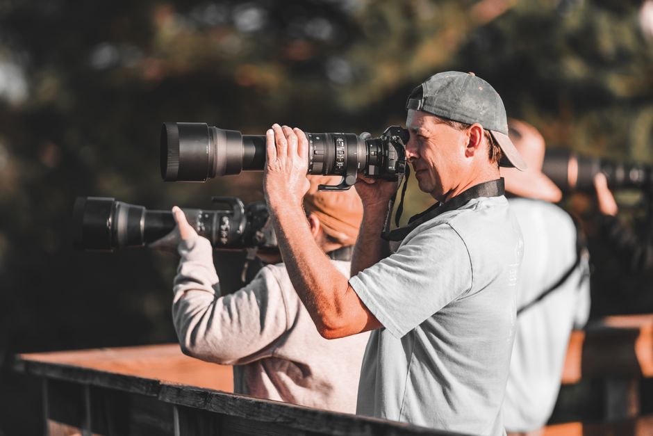 Ethical Wildlife Photography: Putting the Subject First