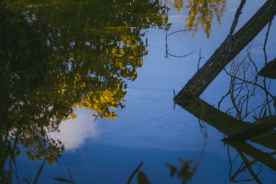 Mastering Water: Photographing Wildlife at Ponds, Rivers, and Lakes
