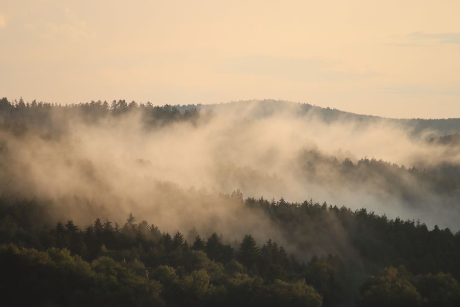 Photographing in Rain, Fog, and Snow: Weather Worth Waiting For